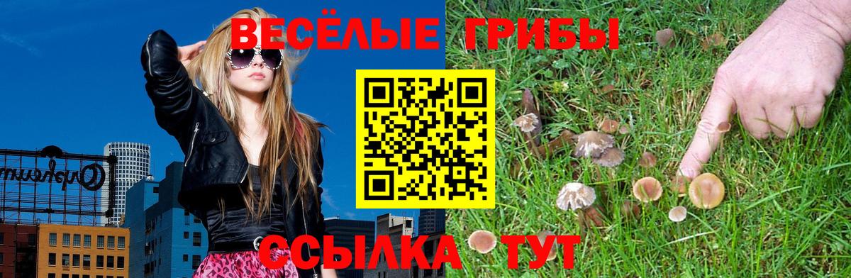 Новоуральск  даркнет сайт  Вход с VPN  Галлюциногенные грибы мицелий 